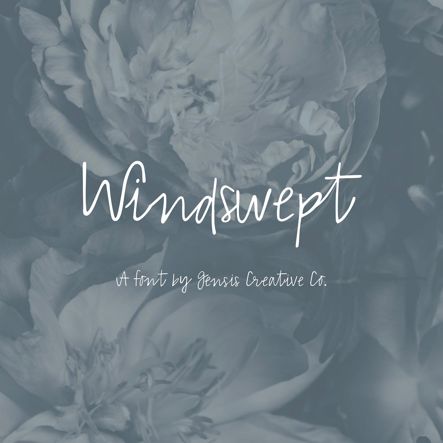 Windswept Font