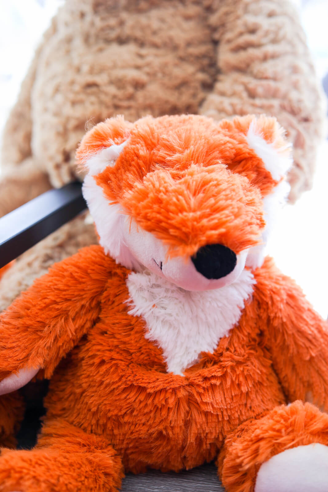 Magical Scraps Photoshoot